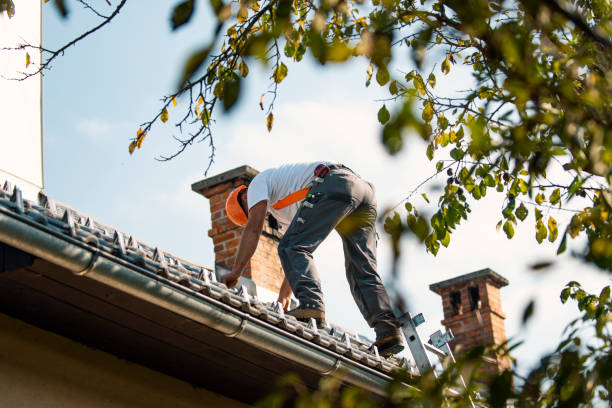 Best Solar Panel Roofing Installation  in Morgandale, OH