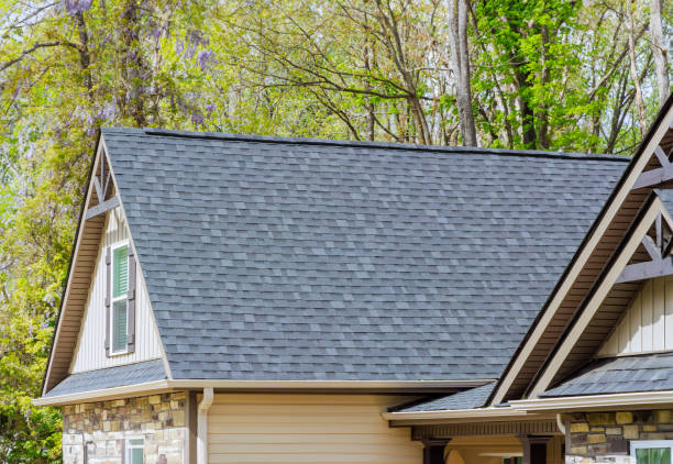 Best Roof Maintenance and Cleaning  in Morgandale, OH